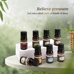 10ml Air Freshener Natural Plant Aromatherapy Essential Oil Air Conditioning Perfume Refill Aroma Diffuser Fragrance Humidifier - NTKSTORE