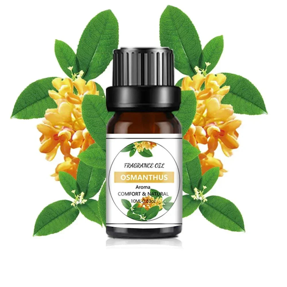 10Ml Essential Oil Fruit Flavor Natural Plant Making Diffuser Essential Oil Mango Pineapple Flavoring Oil for DIY Soap Candles - NTKSTORE