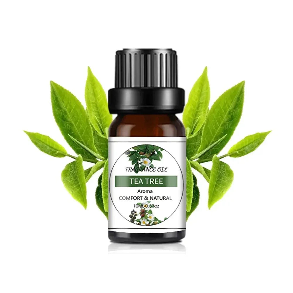 10Ml Essential Oil Fruit Flavor Natural Plant Making Diffuser Essential Oil Mango Pineapple Flavoring Oil for DIY Soap Candles - NTKSTORE